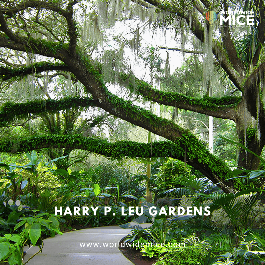 Harry P. Leu Gardens